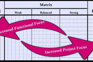Organizational Structures - Functional, Matrix, Projectized