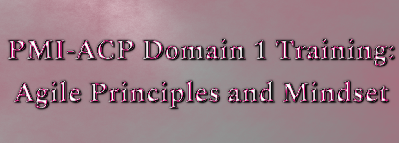 PMI-ACP Domain 1: Agile Principles and Mindset Training Video – Agile ...