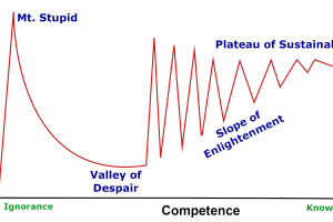 Dunning-Kruger with Modified Slope of Enlightenment